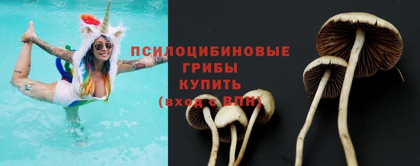 ПСИЛОЦИБИНОВЫЕ ГРИБЫ Каменка
