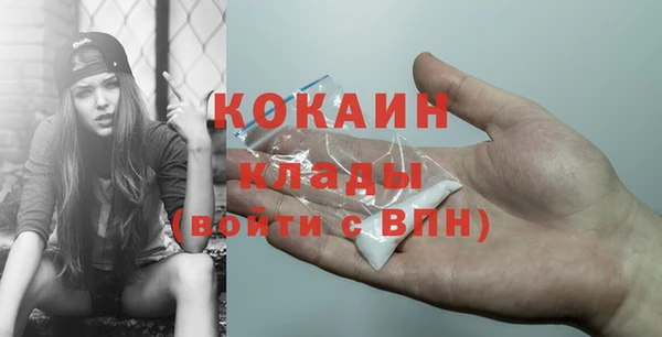 ПСИЛОЦИБИНОВЫЕ ГРИБЫ Каменка