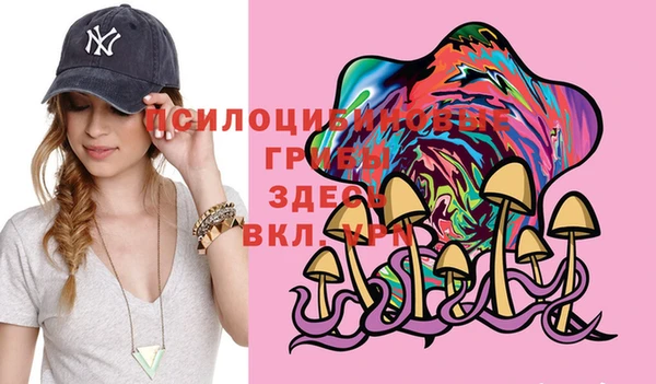 дживик Киреевск