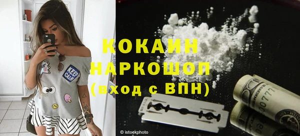 ПСИЛОЦИБИНОВЫЕ ГРИБЫ Каменка