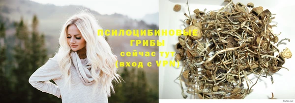 ПСИЛОЦИБИНОВЫЕ ГРИБЫ Каменка