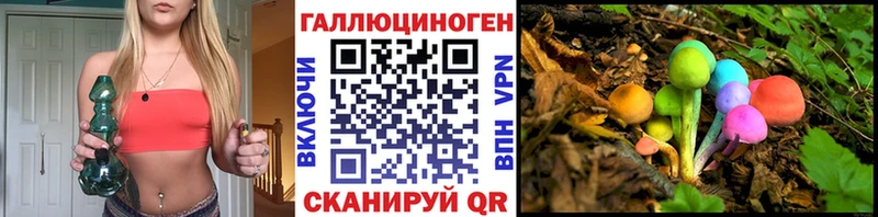 как найти закладки Лаишево Псилоцибиновые грибы мицелий